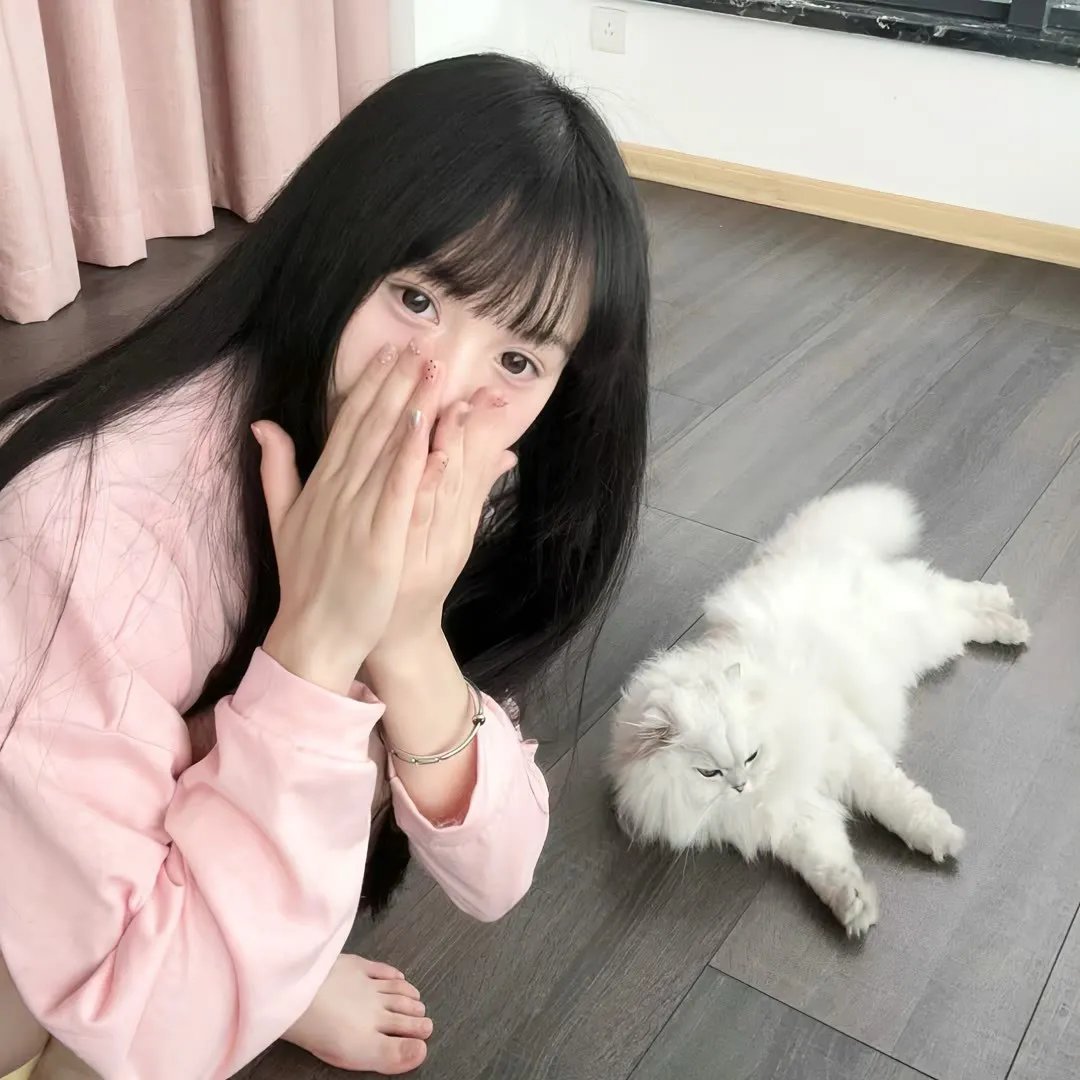 贝拉米犯罪事件簿