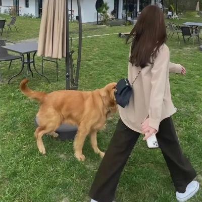 惊吓24小时